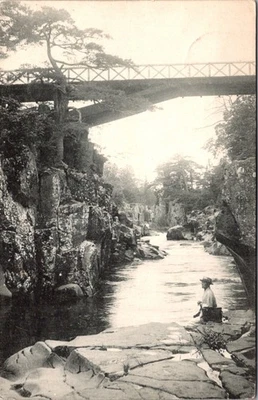 JAPAN 1910'S VINTAGE POSTAL PICT POSTCARD NATURE ADDR & POSTMARK - Image 1 of 2