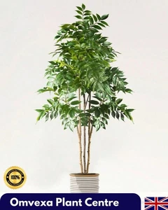 Große 120cm Kunstpflanze für Wohnzimmer Büro Schlafzimmer Deko ohne Topf - Bild 1 von 13