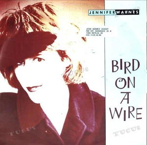 Jennifer Warnes - Bird On A Wire 7" (VG/VG) .* - Picture 1 of 1