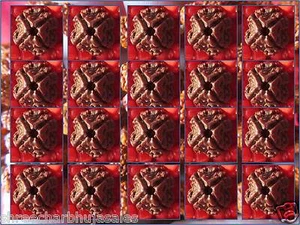 Energized Original Nepal four 4 Mukhi Beads Rudraksha combo Lot of 20 Piece. - Picture 1 of 2