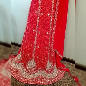 Indian Designer Lengha Bollywood Bridal Women Lehenga Choli Wedding Dress - Picture 1 of 6