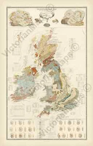 Palaeontological map of British Islands Johnston 1848 fossil dinosaur ammonite - Picture 1 of 9