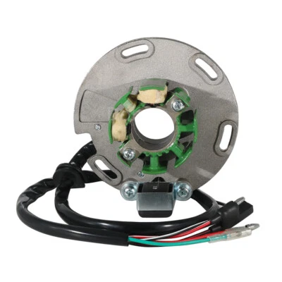 Bobina magnética de estator para TM Racing MX 125 21-01 MX 250 2021-01 SMX 125 2008-2005 Foto 1 de 4