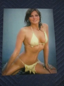 Foto Bo Derek 11X14 - Foto 1 di 1