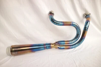 Sistema de escape completo 2 en 1 apto para Harley Davidson Sportster 1200 | Gnarly Foto 1 de 4