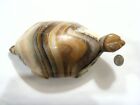 1920s antique 6.5 inch carved colorful banded agate 22 ounce turtle FC1196