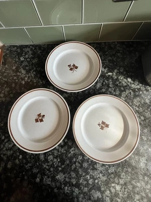 Vintage Royal Ironstone China Alfred Meakin "Tea Leaf" Design plate - Image 1 of 4