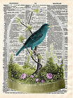 Art N Wordz Bird Under Glass Original Dictionary Sheet Print Wall/Desk Pop Art