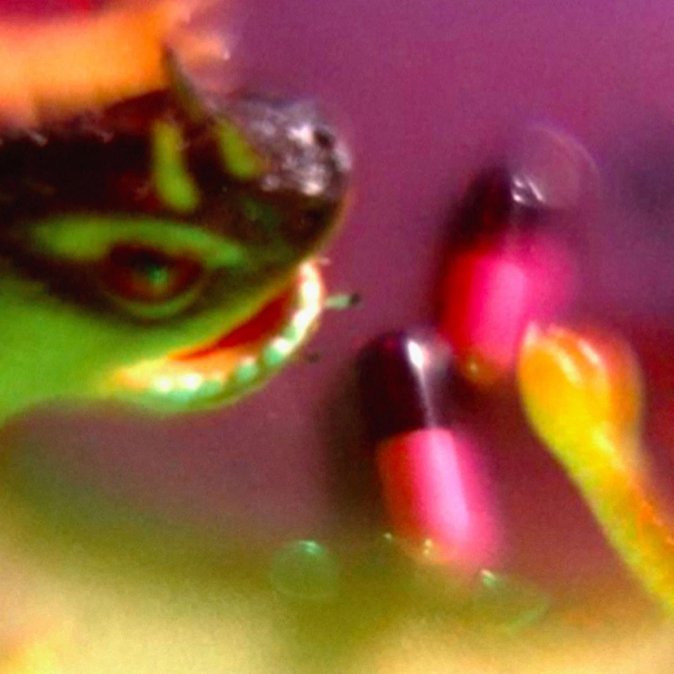 Bush Tetras Take The Fall LP Vinyl WCR083LP Neu - Bild 1 von 1