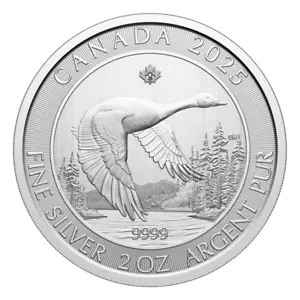 2025 2 oz Canada Goose .9999 Silver BU Coin - Picture 1 of 2