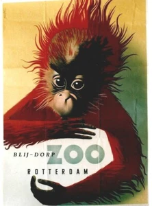 Original vintage poster ZOO ROTTERDAM HOLLAND ORANG UTAN BABY c.1945 - Bild 1 von 1