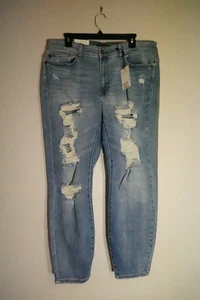 Judy Blue, New Jeans- Boyfriend, 18W - Picture 1 of 7