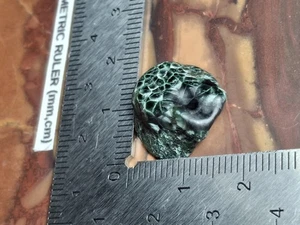 Polished Michigan Isle Royale Greenstone Chlorastrolite Polished Gem Specimen π - Picture 1 of 9