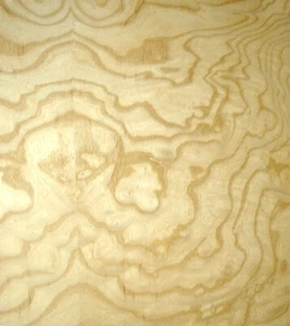 Chapa de madera blanca Ash Burl 24"" x 48"" con soporte de papel 1/40"" de espesor grado AA - Imagen 1 de 12