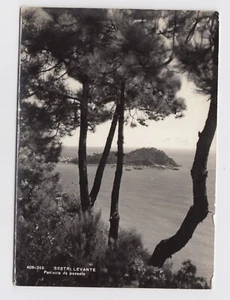 LI GE 29 Sestri Levante  penisola da ponente viaggiata 1962 - Picture 1 of 1