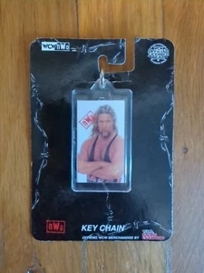 NUOVO WCW nWo Kevin Nash Racing Champions portachiavi wrestling WWE WWF ECW NXT AEW - Foto 1 di 2