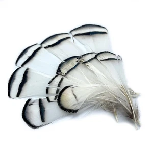 LADY AMHERST TIPPETS - Hareline Fly Tying Pheasant Feathers White - 10 Per Pack! - Picture 1 of 2