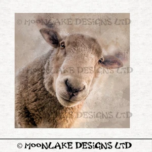 Sheep Portrait Looking Down  Fabric Craft Panels in 100% Cotton or Polyester - Picture 1 of 3