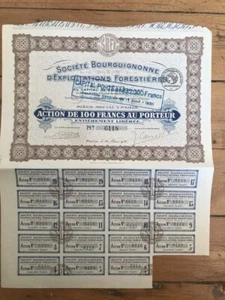 Société Bourguignonne d'EXPLOITATION FORESTIERE (C1) - Picture 1 of 1