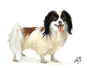 ✤ Original Oil Portrait Painting PAPILLON Puppy Dog Artist Signed Artwork Art - Picture 1 of 1