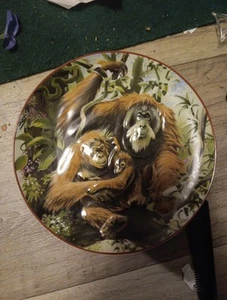 HEINRICH VILLEROY & BOCH BY WORLD WILDLIFE FUND PLATE ORANG-UTANG. 1984 vintage - Picture 1 of 5
