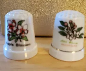 VINTAGE MICHIGAN APPLE BLOSSOMS PORCELAIN DISPLAY THIMBLES SET OF 2 - Picture 1 of 2