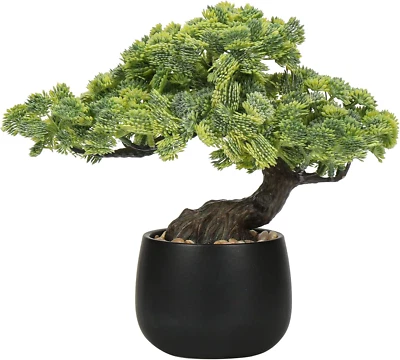 Bonsai Artificial Árbol Enebro Imitación Plantas Interior Plantas Falsas Decoración con Negro C Foto 1 de 4
