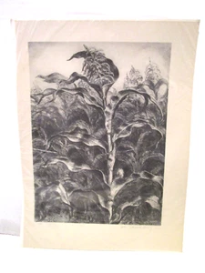 ANTIQUE ART PRINT ETCHING-LITHO-JOHN STEUART CURRY-CORN 1939 Rural Americana - Picture 1 of 3