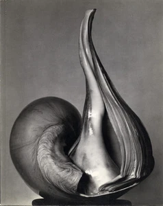 EW100. Centennial Essays in Honor of Edward Weston. En memoria de un genio. - Imagen 1 de 1