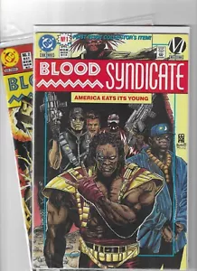 BLOOD SYNDICATE #1 #2 ~ Dwayne McDuffie @1993 - Foto 1 di 3