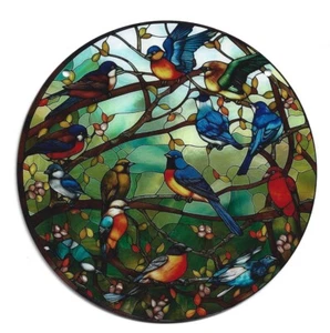 Bird Watchers Delight Suncatcher Pictured Acrylic Window - Wall Hanging & Chain - Picture 1 of 2