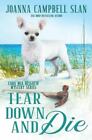 Tear Down And Die: Book #1 In The Cara Mia Delgatto Mystery Series By Slan