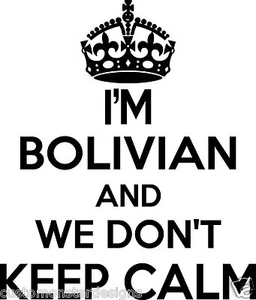 Bolivian Wall Sticker.. 20 inches Tall We Don't Keep Calm Vinyl Wall Art Decor - Picture 1 of 2