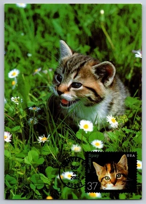 #3670 Neuter and Spray Cats FDC Maxi Card - Image 1 of 2