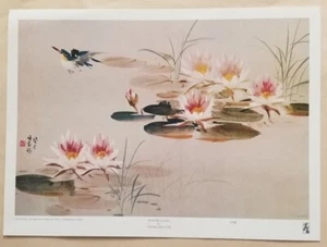 Impresión artística de lirios de agua de Chang Shu-Chi edición abierta 11" x 15" - Imagen 1 de 3