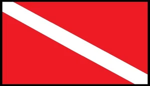 Scuba Flag Emblem Patch W/ Hook & Loop Fastener Black Border - Picture 1 of 1