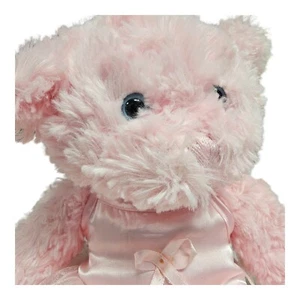 Pawsenclaws And Co Pink Bear Ballerina Fairy Teddy Bear Stuffed Animal 14" READ - Picture 1 of 9