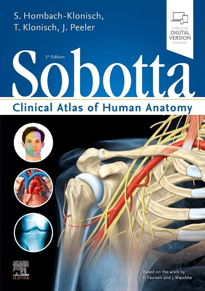 Sobotta Clinical Atlas of Human Anatomy, one volume, English - Bild 1 von 1