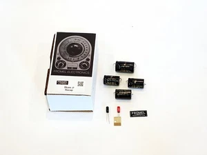 Kit de resumen Fender Blues Jr Junior MIM o hecho en EE. UU. por Fromel - Imagen 1 de 1