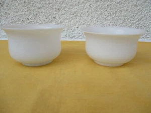 Deux bols rince doigts ou coupelles en verre opalescent époque XIX° Siècle - Photo 1/6