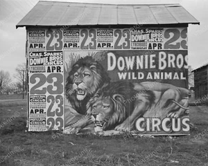 Downie Bros Circus Billboard Vintage 8x10 Reprint Of Old Photo - Picture 1 of 1
