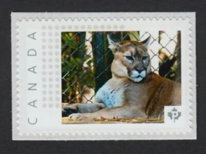 COUGAR, PUMA, LEÓN DE MONTAÑA = Foto sello postal MNH Canadá 2015 [p15/11wc3/3 - Imagen 1 de 2