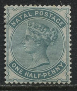 Natal QV 1880 1/2d blue green mint o.g. - Picture 1 of 1