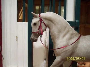 Jaapi BURGUNDY *FOAL* halter w/lead-fit Breyer traditional foal & Classics - Picture 1 of 1