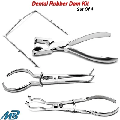 Juego de inicio de presa de goma Ainsworth marco pinzas perforadoras juego de pinzas de cerveza ligeras Foto 1 de 4