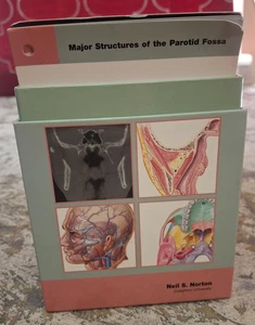 Netter's Advanced Head & Neck Flash Cards Anatomy Study Elsevier Neil Norton - Picture 1 of 7