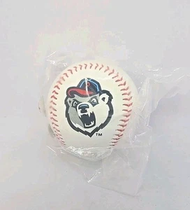 Pawtucket Red Sox Paw Sox BMORE Sports Minor League Souvenir Hard Baseball NEW - Picture 1 of 3