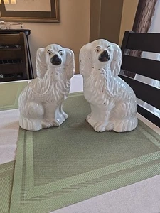 Antiker weißer englischer Staffordshire Spaniel Jagdmantel Hund Paar 9,5 Zoll - Bild 1 von 17