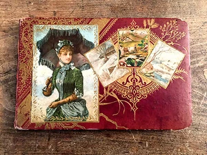 The Golden Butterfly Album - c:1880 - Beautiful Antique Autograph Album - Picture 1 of 12