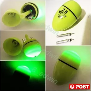 LED Luminously Abo AWA #2.5 Ellipsoid Night Fishing Float Warehou yollowtail - Picture 1 of 13